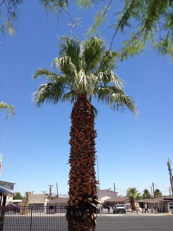 Sterling Gardens Motel Las Vegas 2*,